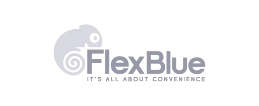 FlexBlue